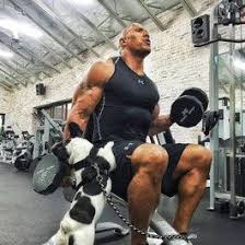 Dwayne Johnson Trainingsplan Und Ernahrungsplan The Rock Dwayne Johnson Dwayne The Rock Trainingsplan