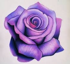 1001 Modeles Et Conseils Pour Apprendre Comment Dessiner Une Rose Comment Dessiner Une Rose Dessin Rose Dessin De Fleur