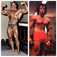 Arnold Schwarzenegger Sylvester Stallone Arnold Schwarzenegger Fitness Motivation Fitness Inspiration