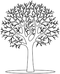 Coloriage A Imprimer Un Arbre En Hiver Coloriage Arbre Dessin Arbre Coloriage