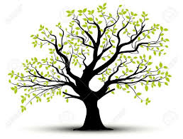 Risultati Immagini Per Albero Decorativo Tree Illustration Tree Art Tree Wall Art