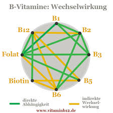 Vitamin B Komplex Dr Schweikart Verlag