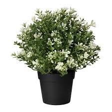 Fejka Plante Artificielle En Pot Thym 3 9 Cm Plantes Artificielles Decoration Plante Planter Des Fleurs
