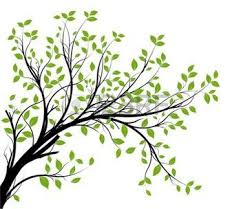 Arbres Dessins Banque D Images Vecteurs Et Illustrations Libres De Droits Dessin Arbre Silhouette Arbre Art De La Feuille