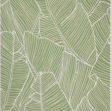 Papier Peint Vinyle Sur Intisse Vert Bananier Papier Peint Papier Peint Vinyle Papier Peint Feuilles