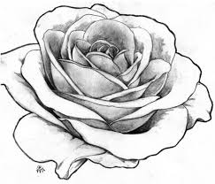 1001 Modeles Et Conseils Pour Apprendre Comment Dessiner Une Rose Dessin Rose Comment Dessiner Une Rose Dessin Fleur