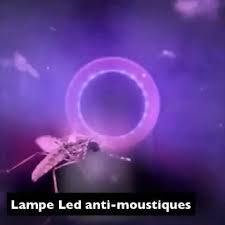 Eloignez Les Moustiques Grace A Notre Lampe Anti Moustiques Les Moustiques Sont Consideres Comme Les Insectes Les Plus Da Video En 2020 Moustique Lampe Led Anti Moustique