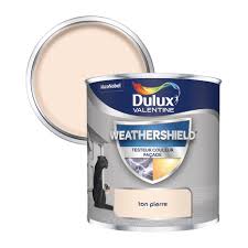 Testeur Peinture Facades Lisses Ton Pierre Mat 250ml Brico Depot