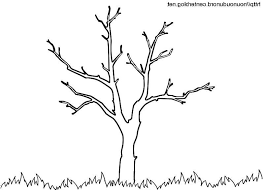 Coloriage Fleurs Nature Coloriage Arbre Feuille Arbre Coloriage