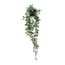 Fejka Plante Artificielle En Pot Interieur Exterieur A Accrocher Home Design Plantes Artificielles Plantes Suspendues Et Fleurs Artificielles Ikea