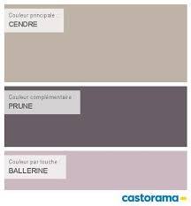 Peinture Cendre Colours Nuancier Peinture Peinture Gris Clair Peinture Bleu Gris