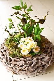 Diy Fruhlingskorb Naturlich Dekoriert Mrs Greenery Naturlich Dekorieren Diy Fruhlingsdeko Fruhlings Dekoration