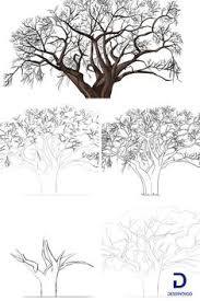Comment Dessiner Un Arbre Comment Dessiner Un Arbre Dessin Arbre Dessin Arbre De Vie