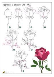 Dessiner Une Rose Dessin Rose Dessin De Roses Comment Apprendre A Dessiner