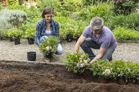 Video Video Beeteinfassung Aus Bloombux Pflanzen Beeteinfassung Bloombux Pflanzen