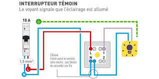Pourquoi Le Temoin De Mon Interrupteur Reste T Il Allume Alors Que La Lumiere Est Eteinte Espace Grand Public Legrand