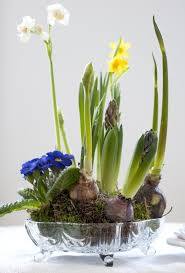 7 Dekoideen Mit Fruhlingsblumen Fruhling Blumen Fruhlingsblumen Tischdeko Fruhling