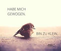 Pin Von Heike Wahrn Auf Witzige Bilder Spruche Spruche Motivation Abnehmen Witzige Spruche