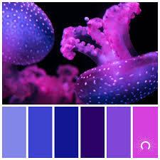 Color Palette Color Combination Farbpalette Hue Blue Violet Red Violet Blau Violet Rotviolet Farbpalette Blau Farbinspiration Farbkombination
