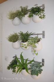 L Armoire De Leo Et Lisa Un Blog De Maman Mur Vegetal Deco Plantes Mur Vegetal Interieur
