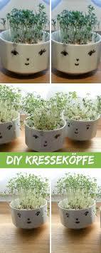 Schnelle Upcycling Geschenkidee Diy Kressekopfe Mit Bildern Weihnachten Basteln Upcycling Basteln Fruhling Kinder