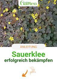 Pin Auf Gartenfreunde