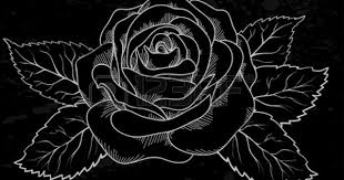 Black Background With Rose Beautiful White Rose Outline With Gray Spots On A Black Background Rose Outline Black Backgrounds White Roses
