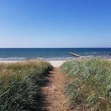 Danemark Ferienhaus Mit Meerblick An Der Nordsee Ausflug Ferien Nordsee