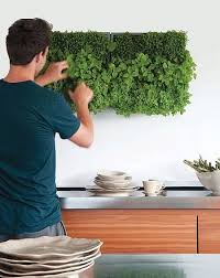 Grune Wand Raffinierter Blickfang Fur Die Wohnung In 2020 Gartenmauer Designs Wohnung Pflanzen Und Moosbilder