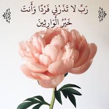 قرآن كريم آية رب لا تذرني فردا وأنت خير الوارثين Pretty Flowers Plants Flowers Photography