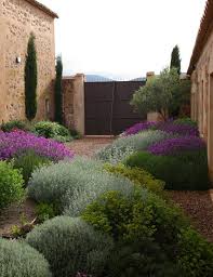 10 Plantes Pour Un Jardin Mediterraneen Dry Garden In 2020 Dry Garden Mediterranean Garden Xeriscape