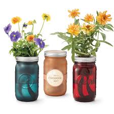 Birth Month Flower Grow Kit Canada Mason Jar Indoor Flower Garden Window Garden Hydroponics Uncommongoods Indoor Flowers Hydroponic Grow Kits Indoor Herb Garden