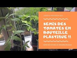 Epingle Sur Potager