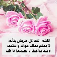 Pin By عبدالله إبراهيم On الحمدلله Flowers Plants Rose