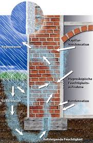 Sanierputz Gegen Feuchte Keller Und Fassaden In 2020 Feuchter Keller Kellerwande Keller Renovieren
