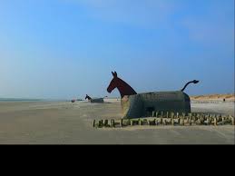 Strand Pferde Blavand Danemark Strand Danemark Urlaub Norwegen Sehenswurdigkeiten