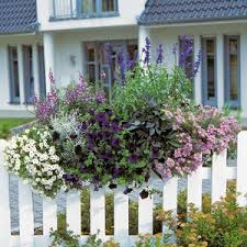 Balkon Ideen Balkonkasten Bepflanzen Dreimal Anders Balkonkasten Bepflanzen Garten Pflanzkasten Blumenkasten Bepflanzen
