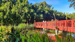 Have A Green Break In Saint Cyprien S Wonderful Botanical Garden Green Zen Chill Relax Botanicalgarden Trees Flowers Sai Jardins Plante Jardin Nature