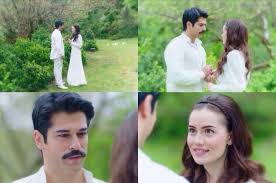 Fahriye Evcen Burak Ozcivit Calikusu Actors Actresses Beautiful Love Stories Actors