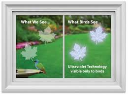Bird Flying Into Window Meaning Windowalert Is A Window Decal That May Be Applied To Home And Office Windows The Decals Contain A Compo Birds Flying Into Windows Window Decals What Is A Bird