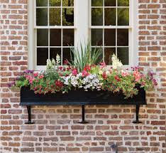 Balkonkasten Bepflanzen Sudbalkon Sonnig Ideen Sommer Petunien Pflanzen Furs Fensterbrett Fensterkasten Pflanzideen
