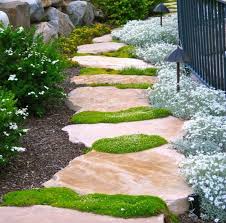 Stein Weg Im Garten Fugen Moos Natur Design Zaun Steingarten Garten Landschaftsbau Garten Bodendecker