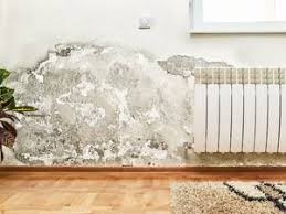 Wie Schutze Ich Mein Haus Vor Feuchtigkeit In 2020 Schimmel Wand Schimmel Im Haus