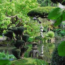 Parc Oriental De Maulevrier Anjou Val De Loire Jardin Japonais Cascade De Jardin Arbre De Jardin