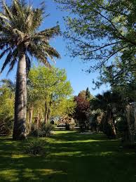 Jardin Des Plantes Saintcyprien Nature Plante Jardin Jardins Plante