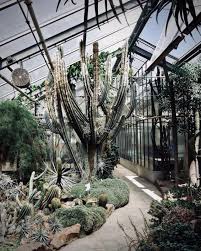 Ein Nachmittag Im Botanischen Garten Botanischer Garten Bonn Botanischer Garten Kulturreise