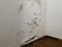 So Dichten Sie Eine Feuchte Kellerwand Von Innen Ab Bauhaus Kellerwande Keller Kellersanierung