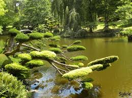 Parc Oriental De Maulevrier Maine Et Loire Parc Et Jardin Parc Japonais Grand Jardin