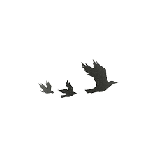 Bird Flying Into Window Meaning Birds Png Tumblr Buscar Con Google Liked On Polyvore Featuring Fillers Bird Silhouette Tattoos Bird Template Birds Flying
