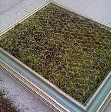 Bilderrahmen Moos Maschendrahtzaun Gruene Wand Diy Luna See Com Grune Wand Wandgarten Mooswand